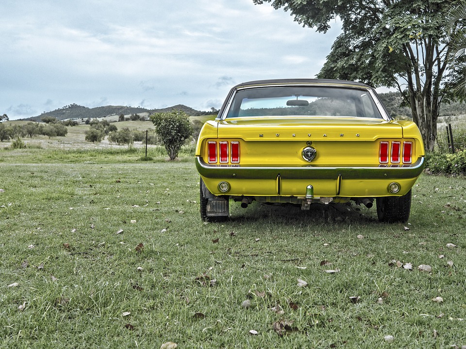 mustang-1184505_960_720